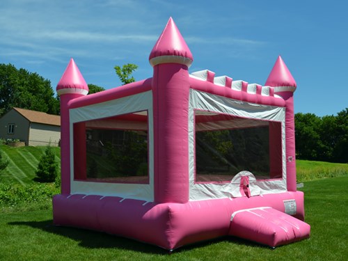 Pretty In Pink photo 2